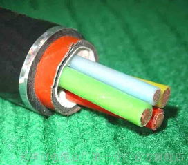 rs 485通訊電纜國(guó)標(biāo)廠(chǎng)家 rs 485通訊電纜國(guó)標(biāo)廠(chǎng)家